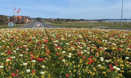 'Athisl' - 800m from the sea 3