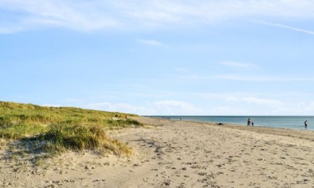 'Alvy' - 200m from the sea 4