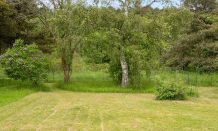 'Aris' - 480m from the sea 5