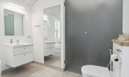 'Swarthovde' -  from the sea 4