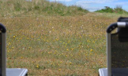 'Berndt' - 50m from the sea 5