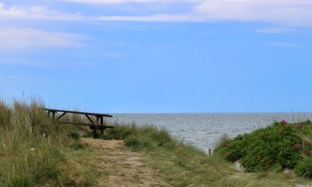 'Berndt' - 50m from the sea 4