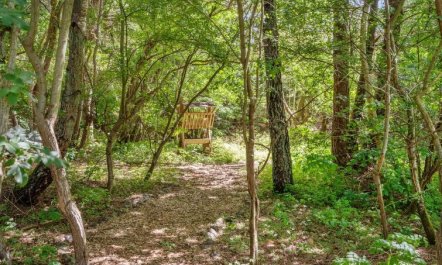 'Bette' - 8km from the sea 4