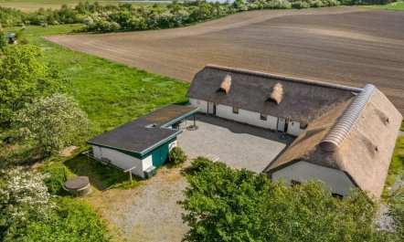 'Annli' - 800m to the fjord