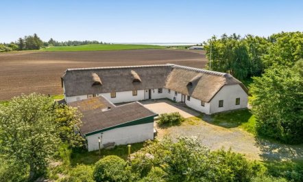 'Annli' - 800m to the fjord 7