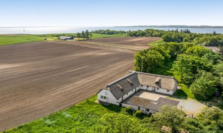 'Annli' - 800m to the fjord 6