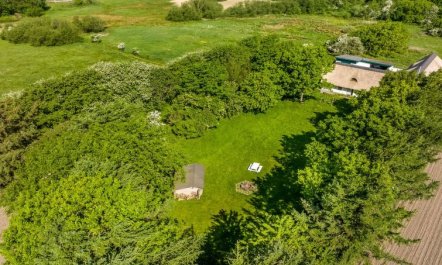 'Annli' - 800m to the fjord 4