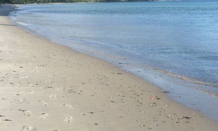 'Rikus' - 300m from the sea 5