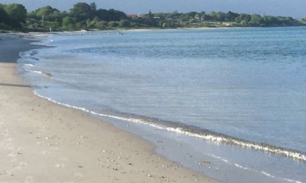 'Rikus' - 300m from the sea 4