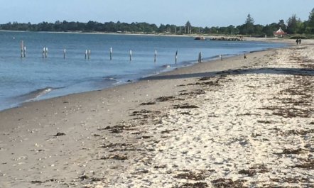 'Rikus' - 300m from the sea 3