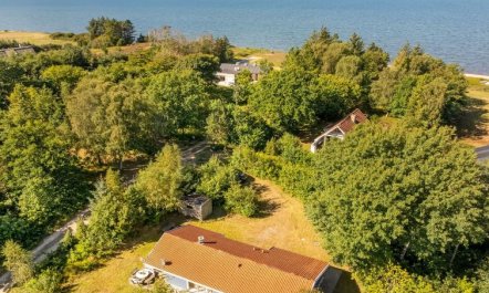 'Elizabeth' - 150m to the fjord 5