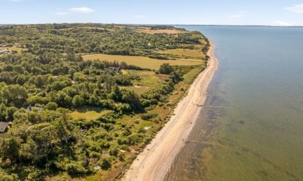 'Elizabeth' - 150m to the fjord 2