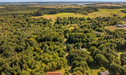 'Elizabeth' - 150m to the fjord 1