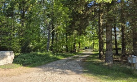 'Aswarth' - 50m to the fjord 5