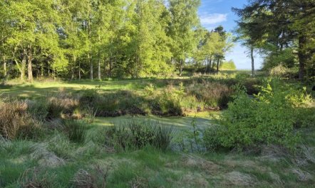 'Aswarth' - 50m to the fjord 4