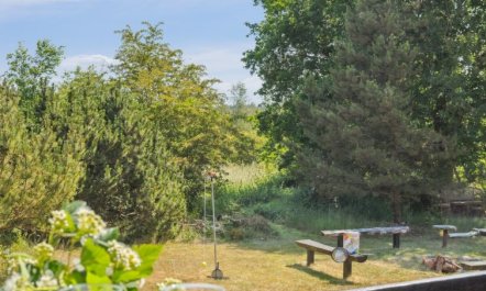 'Nadia' - 300m to the fjord 6