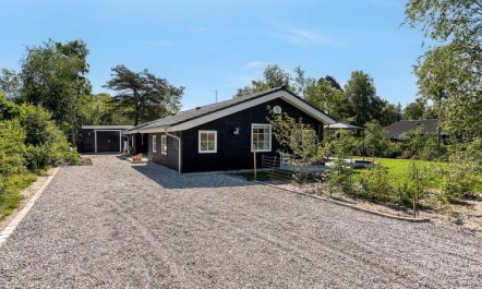 'Fido' - 300m from the sea 2