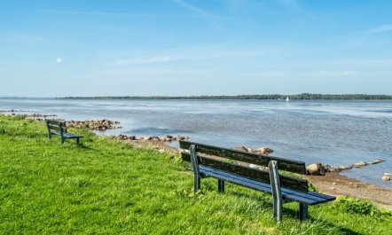 'Kanerva' - 100m to the fjord 3