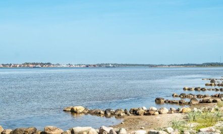 'Kanerva' - 100m to the fjord 2