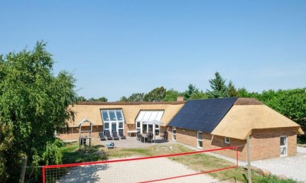 'Laetitita' -  from the sea