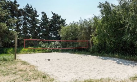 'Laetitita' -  from the sea 4