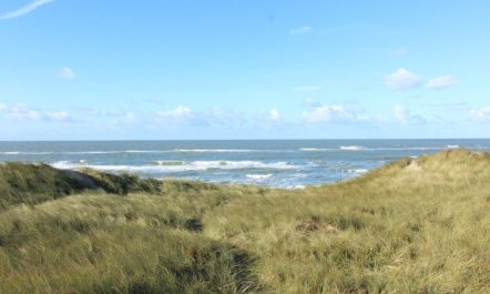 'Laetitita' -  from the sea 2