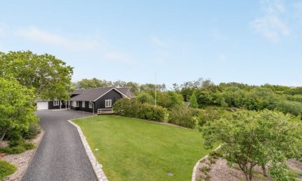 'Regnwald' - 400m to the fjord 1