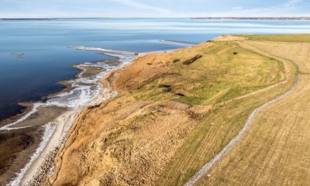 'Nikolce' - 300m to the fjord 1