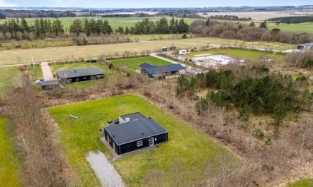 'Jarven' - 500m to the fjord 5