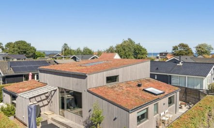 'Elvie' - 150m from the sea 2