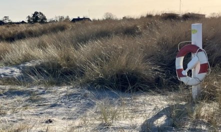 'Skade' - 10m from the sea 5