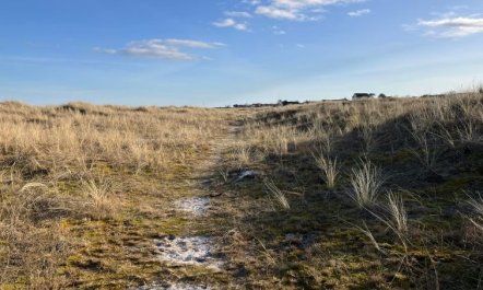 'Skade' - 10m from the sea 4