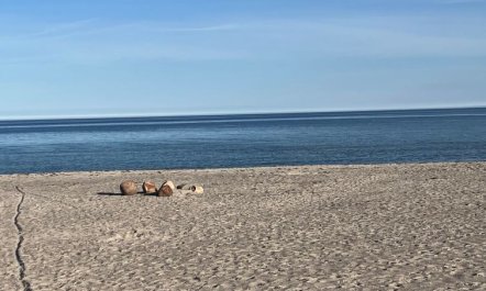 'Skade' - 10m from the sea 1