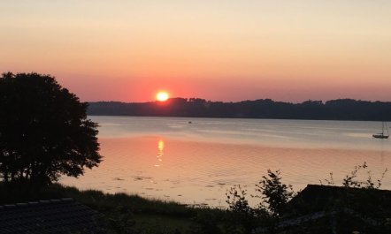 'Algot' - 100m to the fjord 2