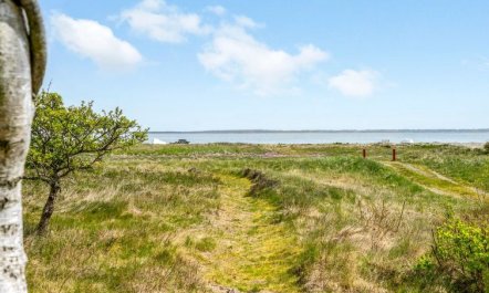 'Angelita' - 80m to the fjord 7