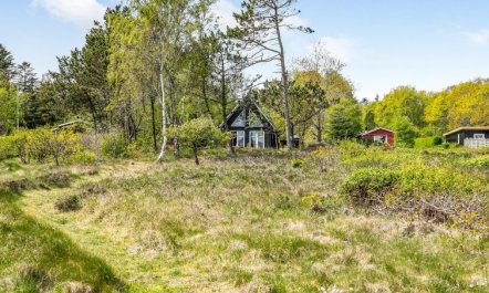 'Angelita' - 80m to the fjord 4