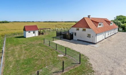 'Ailke' - 2km to the fjord 3