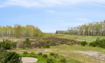 'Farah' - 275m from the sea 4