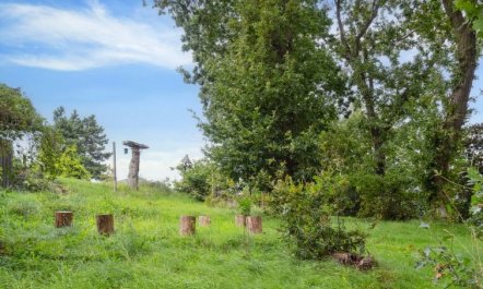 'Gundhild' - 250m from the sea 6