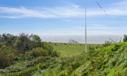 'Gundhild' - 250m from the sea 4