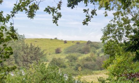 'Gundhild' - 250m from the sea 2