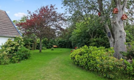 'Lilli' - 2km to the fjord 5