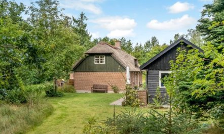 'Hilaria' - 2.1km from the sea 7