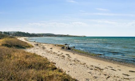 'Dzavid' - 10m from the sea 6