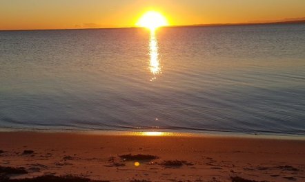 'Siebelt' - 200m from the sea 6