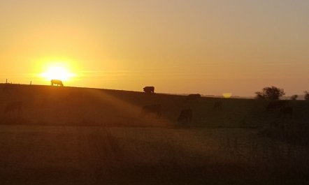 'Siebelt' - 200m from the sea 5