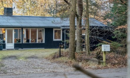 'Gunnil' - 400m from the sea 1