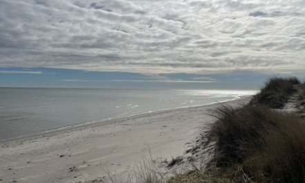 'Frido' - 500m from the sea 2