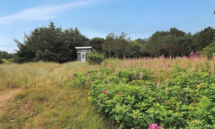 'Dode' - 225m from the sea 4