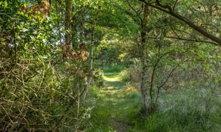 'Einette' - 100m from the sea 5